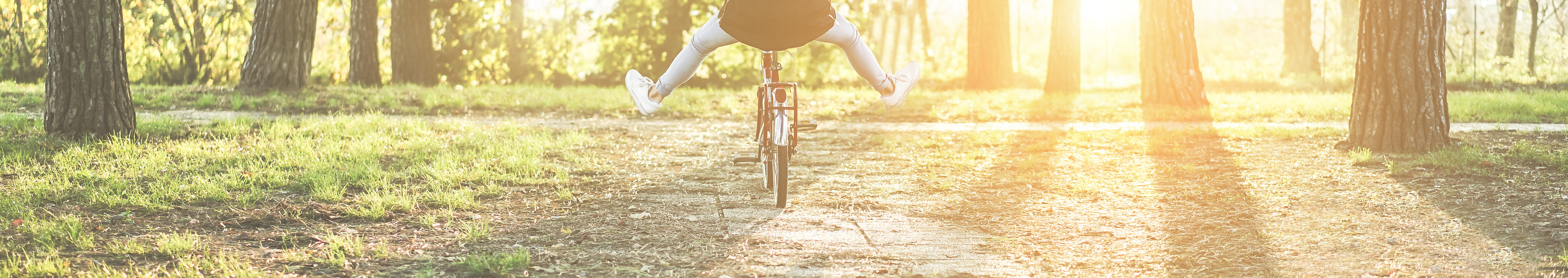 みんなで楽しむBIKE & CAMPの風景